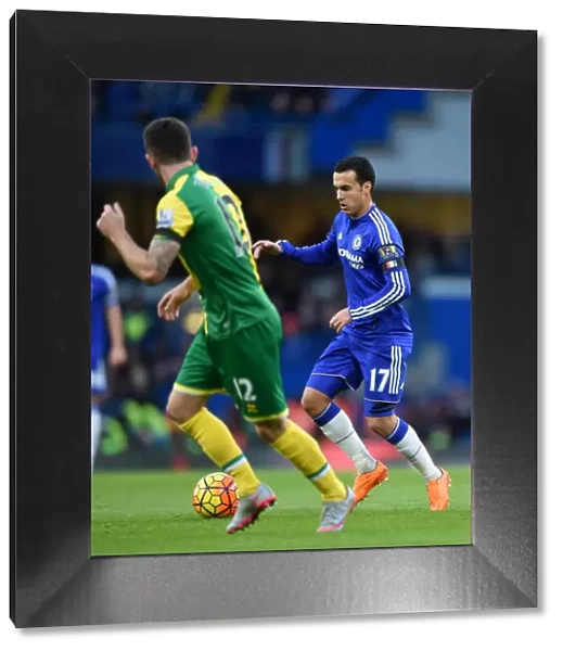 Pedro in Action: Chelsea vs. Norwich City, Premier League (November 2015) - Stamford Bridge