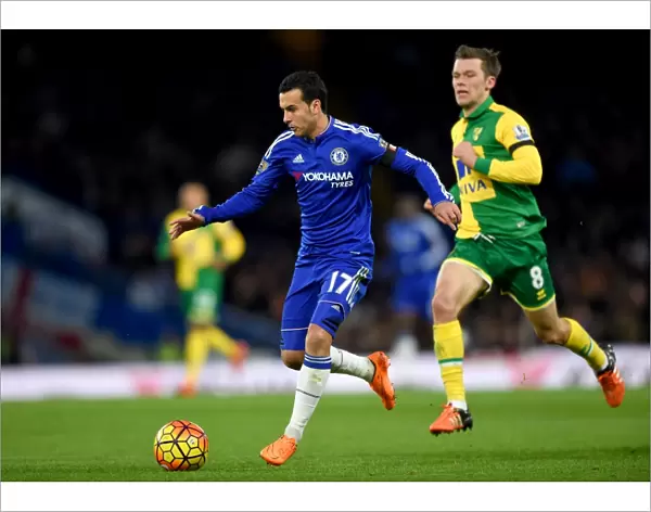 Intense Battle: Pedro vs. Howson at Stamford Bridge - Chelsea vs. Norwich City, Premier League 2015