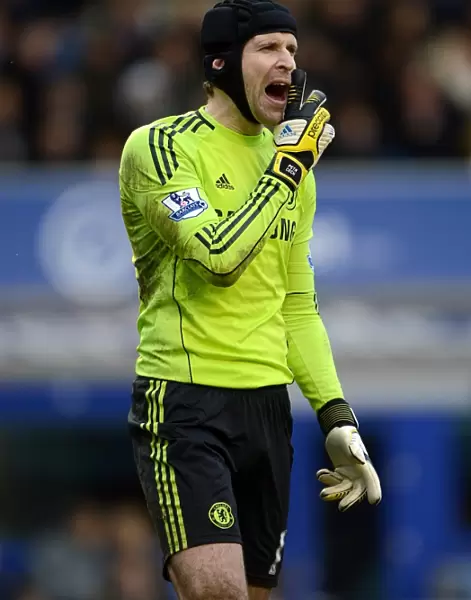 Petr Cech: A Premier League Masterclass in Goalkeeping - Everton vs. Chelsea, 2012