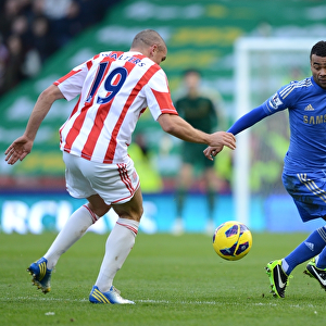 League Matches 2012-2013 Season Jigsaw Puzzle Collection: Stoke City v Chelsea 12th January 2013