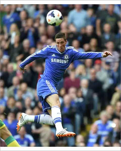Fernando Torres Scores the Winning Goal: Chelsea v Norwich City (Barclays Premier League, Stamford Bridge, 4th May 2014)