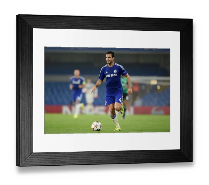 Framed Print : Chelsea's Fabregas Shines: Champions League Showdown vs. Schalke 04 (September 17, 2014) Framed Print : Chelsea's Fabregas Shines: Champions League Showdown vs. Schalke 04 (September 17, 2014)