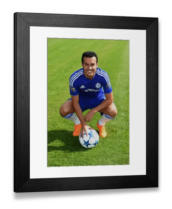 Framed Print : Chelsea FC: Pedro at 2015-16 Team Photocall, Cobham Training Ground Framed Print : Chelsea FC: Pedro at 2015-16 Team Photocall, Cobham Training Ground
