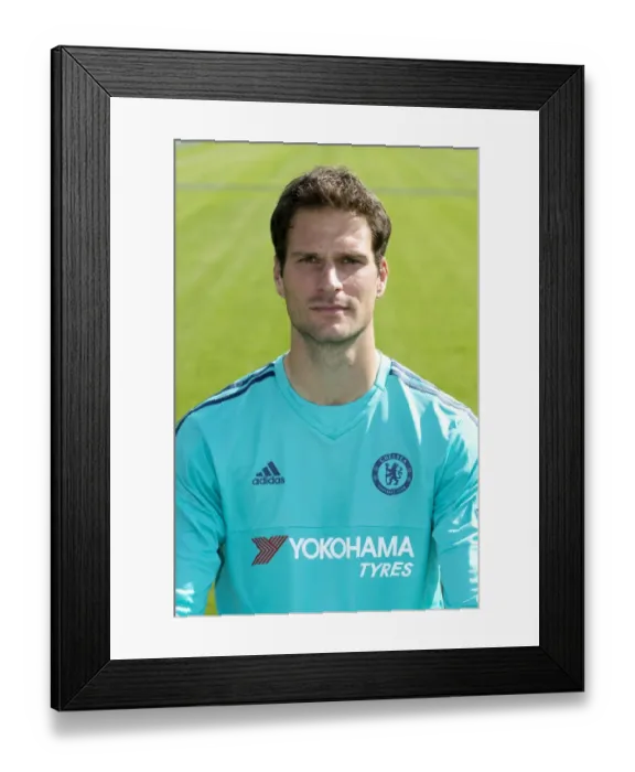 Framed Print : Chelsea FC 2015-16 Team Photocall: Asmir Begovic, The Resilient Goalkeeper Framed Print : Chelsea FC 2015-16 Team Photocall: Asmir Begovic, The Resilient Goalkeeper