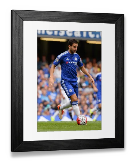 Framed Print : Cesc Fabregas in Action: Chelsea vs Swansea City, Stamford Bridge (August 2015) - Premier League Framed Print : Cesc Fabregas in Action: Chelsea vs Swansea City, Stamford Bridge (August 2015) - Premier League