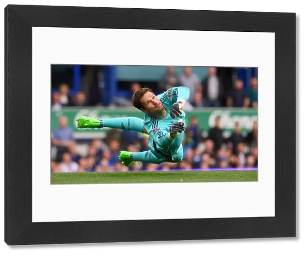 Asmir Begovic in Action: Everton vs. Chelsea, Premier League 2015 - Chelsea Goalkeeper's Thrilling Performance at Goodison Park
