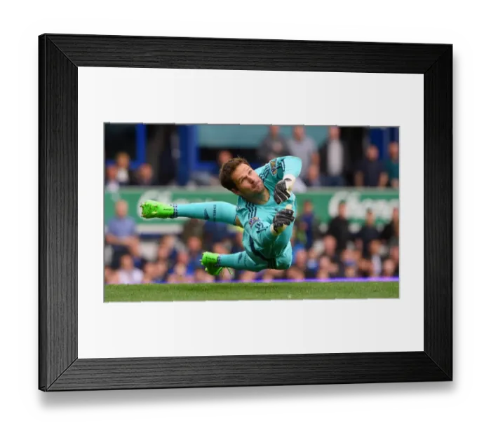 Framed Print : Asmir Begovic in Action: Everton vs. Chelsea, Premier League 2015 - Chelsea Goalkeeper's Thrilling Performance at Goodison Park