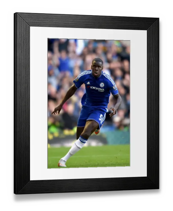 : Soccer - Barclays Premier League - Chelsea v Arsenal - Stamford Bridge : Soccer - Barclays Premier League - Chelsea v Arsenal - Stamford Bridge