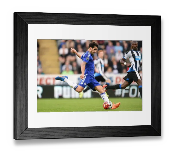 Framed Print : Thundering Shot: Cesc Fabregas Scores for Chelsea Against Newcastle United, Barclays Premier League (September 2015) Framed Print : Thundering Shot: Cesc Fabregas Scores for Chelsea Against Newcastle United, Barclays Premier League (September 2015)
