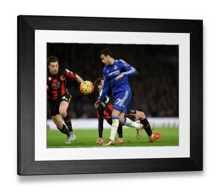 Framed Print : Battle for the Ball: Pedro vs. Arter and Smith - Chelsea vs. AFC Bournemouth, Premier League: Intense Rivalry at Stamford Bridge Framed Print : Battle for the Ball: Pedro vs. Arter and Smith - Chelsea vs. AFC Bournemouth, Premier League: Intense Rivalry at Stamford Bridge