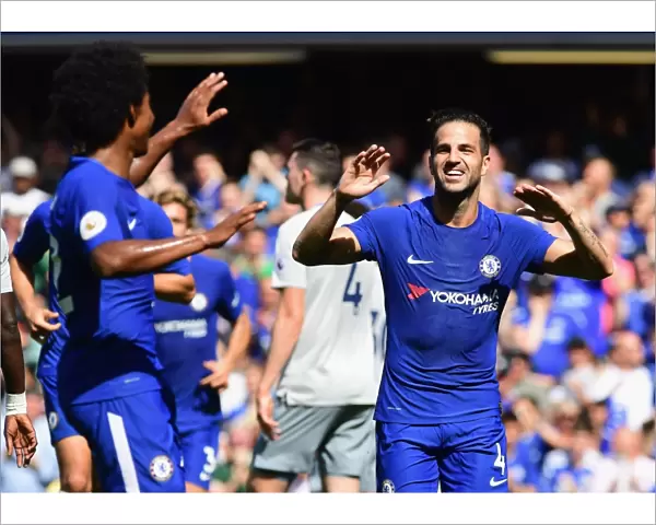 Chelsea Stars: Fabregas and Willian Celebrate First Goal vs Everton, Premier League 2017