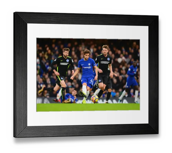 Framed Print : Cesc Fabregas vs Dale Stephens: Intense Battle at Stamford Bridge - Chelsea vs Brighton and Hove Albion, Premier League Framed Print : Cesc Fabregas vs Dale Stephens: Intense Battle at Stamford Bridge - Chelsea vs Brighton and Hove Albion, Premier League