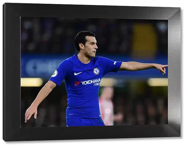 Pedro's Emotional Reaction: Chelsea vs Stoke City, Premier League, Stamford Bridge