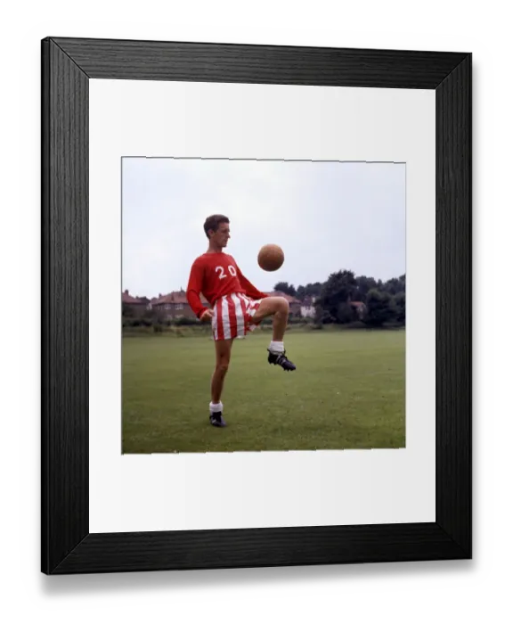 Framed Print : Chelsea Football Club: Division One Team Photocall - Tommy Harmer Framed Print : Chelsea Football Club: Division One Team Photocall - Tommy Harmer