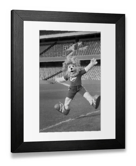  : Stamford the Lion, 1980