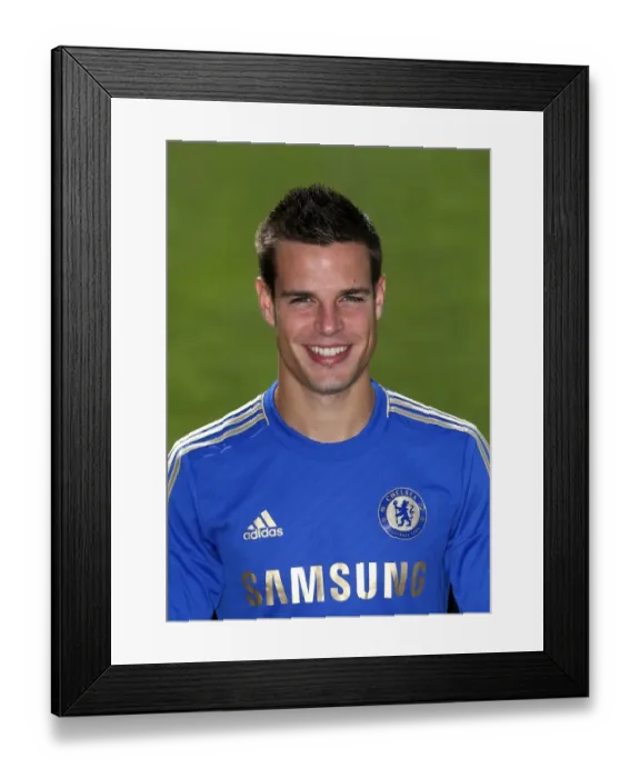Framed Print : Soccer - Chelsea Squad Photocall - Season 2013  /  14 - Cobham Training Ground