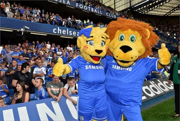 Soccer - Barclays Premier League - Chelsea v Hull City Tigers - Stamford Bridge