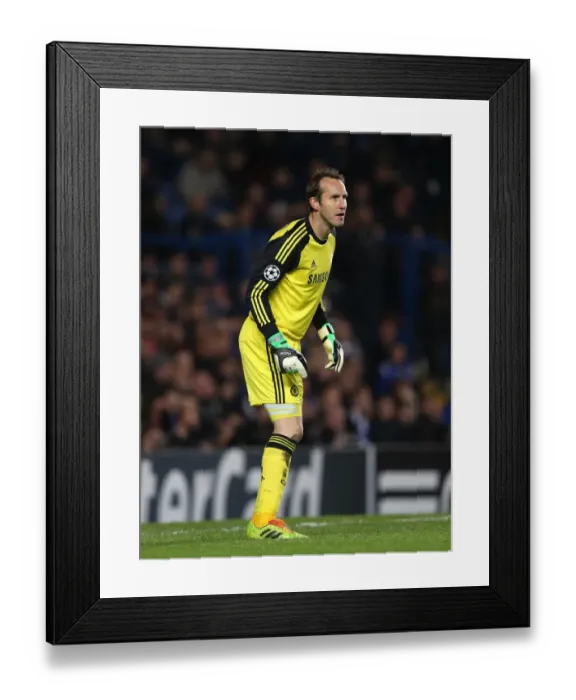 Framed Print : Mark Schwarzer Guards Chelsea's Net against Steaua Bucharest in UEFA Champions League Group E (11th December 2013)