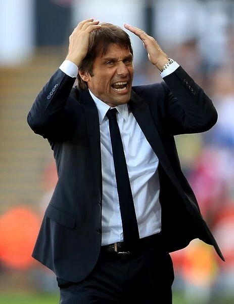 Antonio Conte's Passionate Touchline Display: Swansea City vs. Chelsea, Premier League