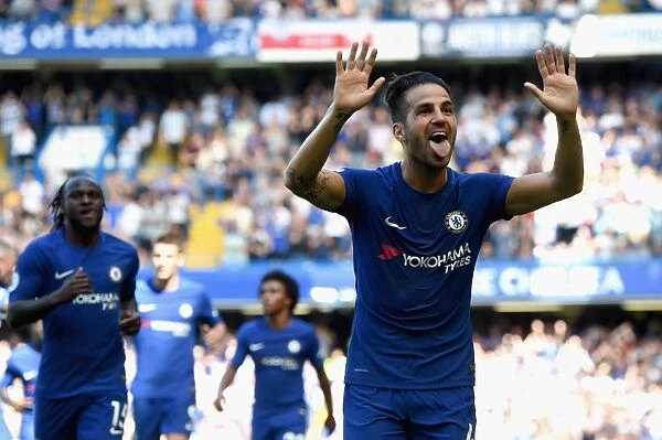Cesc Fabregas Scores First Goal for Chelsea: Chelsea vs Everton, Premier League 2017