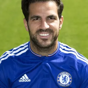 Cesc Fabregas 2015-16 Premier League Print Cesc Fabregas 2015-16 Premier League Print