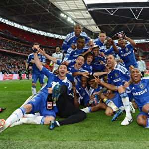 Chelsea FC Triumphs over Liverpool in FA Cup Final at Wembley Stadium (2012)