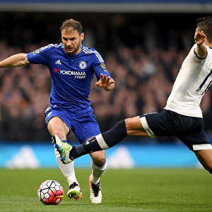 Chelsea v Tottenham Hotspur - Barclays Premier League - Stamford Bridge