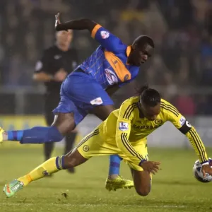 Didier Drogba vs. Jermaine Grandison Print, Chelsea FC Fourth Round Match