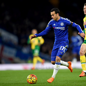 Intense Battle: Pedro vs. Howson at Stamford Bridge - Chelsea vs. Norwich City, Premier League 2015