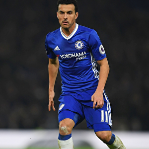 Pedro in Action: Chelsea vs. Hull City, Premier League, Stamford Bridge
