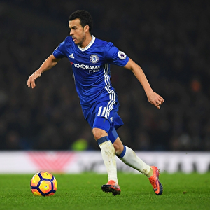 Pedro in Action: Chelsea vs Hull City, Premier League, Stamford Bridge