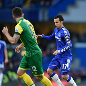 Pedro in Action: Chelsea vs. Norwich City, Premier League (November 2015) - Stamford Bridge