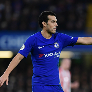 Pedro's Emotional Reaction: Chelsea vs Stoke City, Premier League, Stamford Bridge