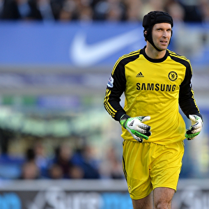 Petr Cech in Action: Everton vs Chelsea, Barclays Premier League (September 14, 2013)