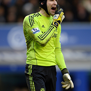 Petr Cech: A Premier League Masterclass in Goalkeeping - Everton vs. Chelsea, 2012