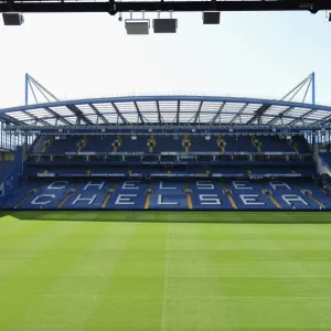 : Stadium and Fans