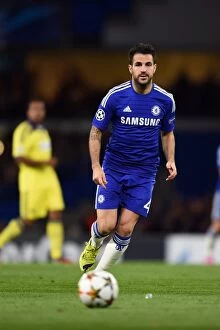 Images Dated 21st October 2014: Cesc Fabregas in Action: Chelsea vs. NK Maribor, Champions League Group G (October 21, 2014)