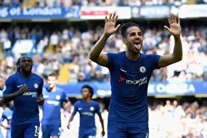 Cesc Fabregas Scores First Goal for Chelsea: Chelsea vs Everton, Premier League 2017