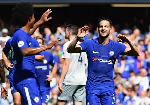 Chelsea Stars: Fabregas and Willian Celebrate First Goal vs Everton, Premier League 2017