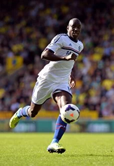 Images Dated 6th October 2013: Demba Ba Scores the Winning Goal: Chelsea Triumphs over Norwich City (6th October 2013)