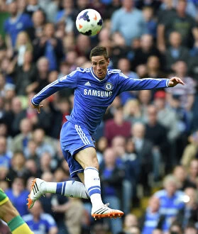 Chelsea v Norwich City 4th May 2014 Collection: Fernando Torres Scores the Winning Goal: Chelsea v Norwich City (Barclays Premier League)