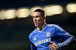 Images Dated 29th December 2013: Fernando Torres Scores the Winning Goal: Chelsea vs Liverpool