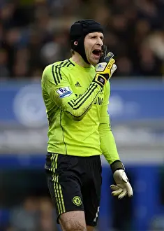 Petr Cech: A Premier League Masterclass in Goalkeeping - Everton vs. Chelsea, 2012