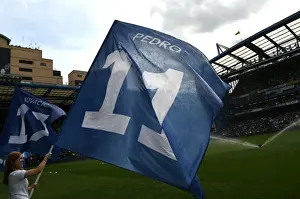 Premier League Showdown: Chelsea FC vs Cardiff City at Stamford Bridge